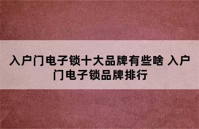 入户门电子锁十大品牌有些啥 入户门电子锁品牌排行